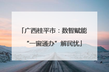 广西桂平市：数智赋能“一窗通办”解民忧