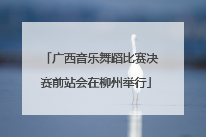 广西音乐舞蹈比赛决赛前站会在柳州举行