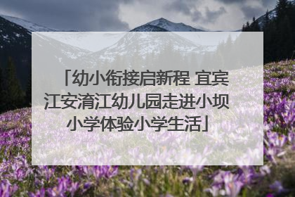 幼小衔接启新程 宜宾江安淯江幼儿园走进小坝小学体验小学生活