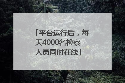 平台运行后，每天4000名检察人员同时在线