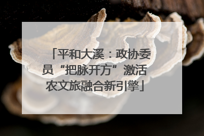 平和大溪：政协委员“把脉开方”激活农文旅融合新引擎