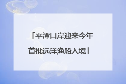 平潭口岸迎来今年首批远洋渔船入境