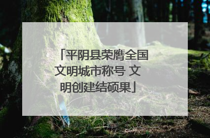 平阴县荣膺全国文明城市称号 文明创建结硕果