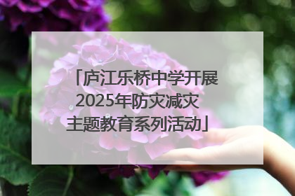 庐江乐桥中学开展2025年防灾减灾主题教育系列活动