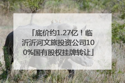 底价约1.27亿！临沂沂河文旅投资公司100%国有股权挂牌转让