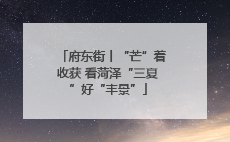 府东街丨“芒”着收获 看菏泽“三夏”好“丰景”