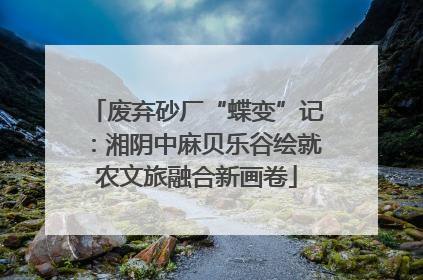 废弃砂厂“蝶变”记：湘阴中麻贝乐谷绘就农文旅融合新画卷