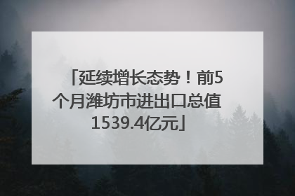 延续增长态势！前5个月潍坊市进出口总值1539.4亿元