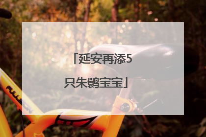 延安再添5只朱鹮宝宝