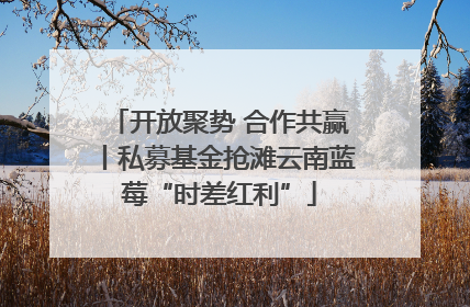 开放聚势 合作共赢丨私募基金抢滩云南蓝莓“时差红利”