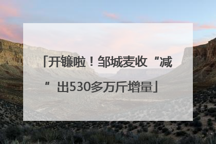 开镰啦！邹城麦收“减”出530多万斤增量