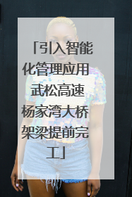 引入智能化管理应用 武松高速杨家湾大桥架梁提前完工