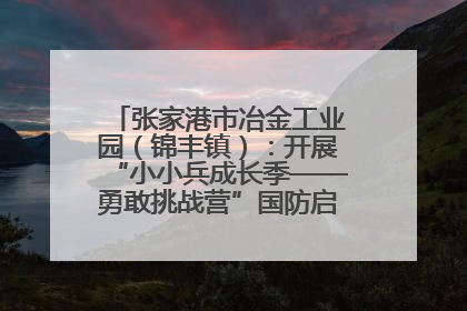 张家港市冶金工业园（锦丰镇）：开展“小小兵成长季——勇敢挑战营”国防启蒙教育活动