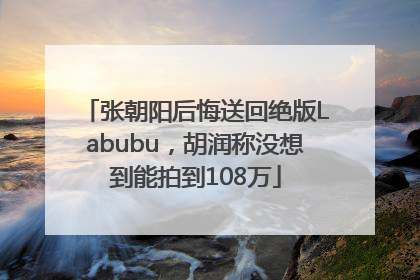 张朝阳后悔送回绝版Labubu，胡润称没想到能拍到108万