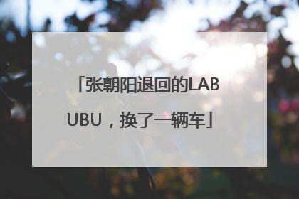 张朝阳退回的LABUBU，换了一辆车