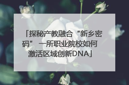 探秘产教融合“新乡密码” 一所职业院校如何激活区域创新DNA