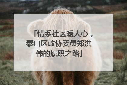 情系社区暖人心，泰山区政协委员郑洪伟的履职之路