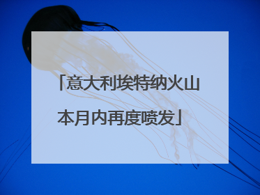 意大利埃特纳火山本月内再度喷发
