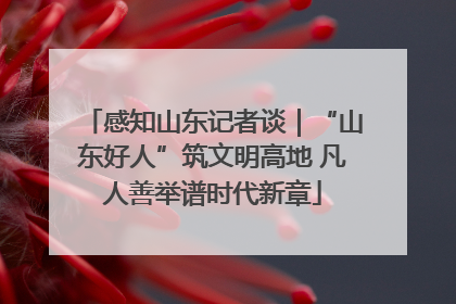 感知山东记者谈｜“山东好人”筑文明高地 凡人善举谱时代新章