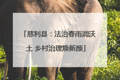 慈利县：法治春雨润沃土 乡村治理焕新颜