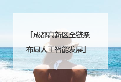 成都高新区全链条布局人工智能发展