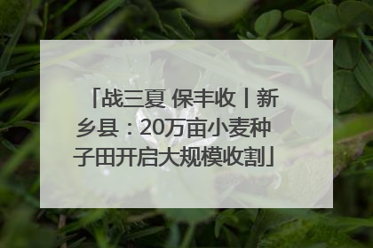 战三夏 保丰收丨新乡县：20万亩小麦种子田开启大规模收割