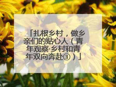 扎根乡村，做乡亲们的贴心人（青年观察·乡村和青年双向奔赴③）