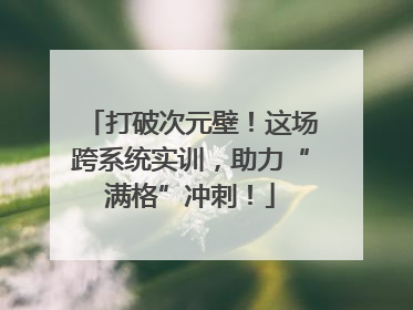 打破次元壁！这场跨系统实训，助力“满格”冲刺！
