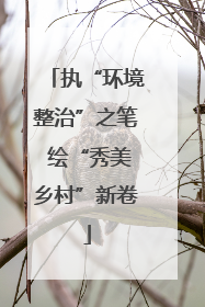 执“环境整治”之笔 绘“秀美乡村”新卷