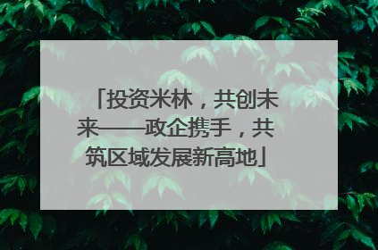 投资米林，共创未来——政企携手，共筑区域发展新高地