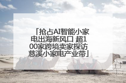 抢占AI智能小家电出海新风口 超100家跨境卖家探访慈溪小家电产业带