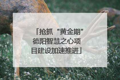 抢抓“黄金期” 德阳智慧之心项目建设加速推进