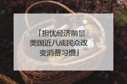 担忧经济前景 美国近八成民众改变消费习惯