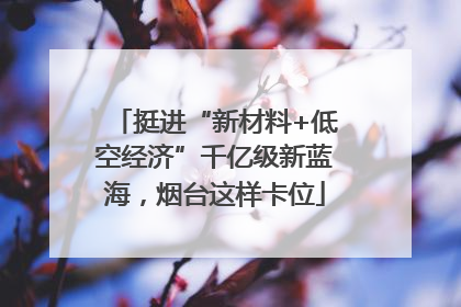 挺进“新材料+低空经济”千亿级新蓝海，烟台这样卡位