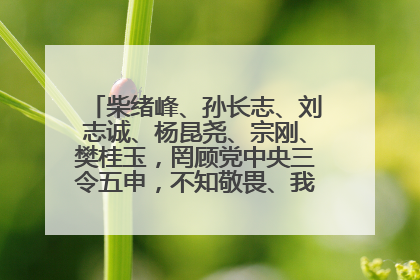柴绪峰、孙长志、刘志诚、杨昆尧、宗刚、樊桂玉，罔顾党中央三令五申，不知敬畏、我行我素、肆意妄为！