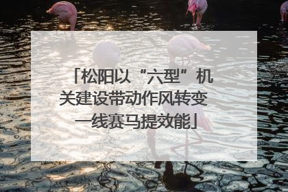 松阳以“六型”机关建设带动作风转变 一线赛马提效能