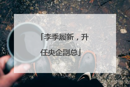 李季履新，升任央企副总