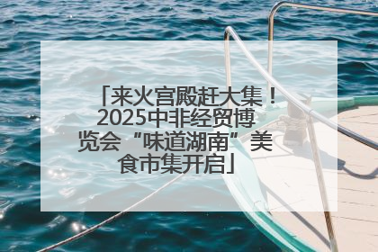 来火宫殿赶大集！2025中非经贸博览会“味道湖南”美食市集开启