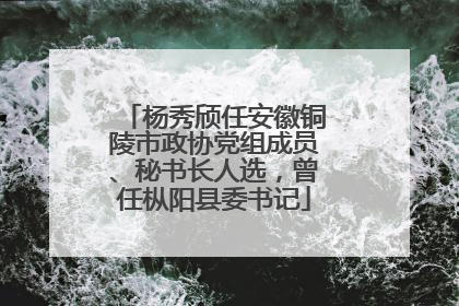 杨秀颀任安徽铜陵市政协党组成员、秘书长人选，曾任枞阳县委书记