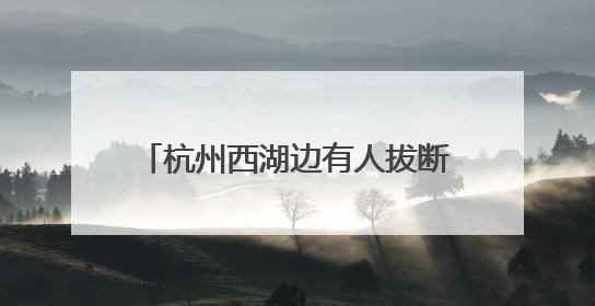 杭州西湖边有人拔断松鼠尾巴？西湖景区：正展开调查核实