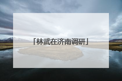 林武在济南调研