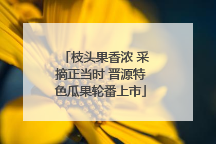 枝头果香浓 采摘正当时 晋源特色瓜果轮番上市