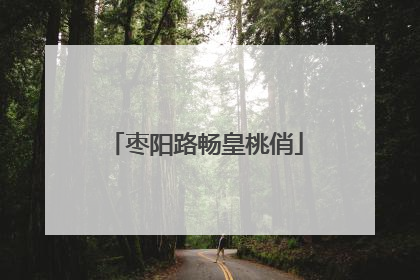 枣阳路畅皇桃俏
