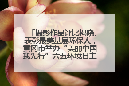 摄影作品评比揭晓、表彰最美基层环保人，黄冈市举办“美丽中国我先行”六五环境日主题宣传活动