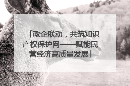 政企联动，共筑知识产权保护网——赋能民营经济高质量发展