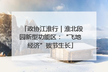 政协江淮行｜淮北段园新型功能区：“飞地经济”拔节生长