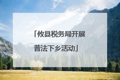 攸县税务局开展普法下乡活动