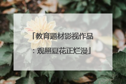 教育题材影视作品：观照夏花正烂漫