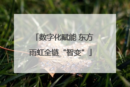 数字化赋能 东方雨虹全链“智变”