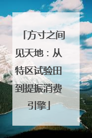 方寸之间见天地：从特区试验田到提振消费引擎